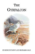 Gyrfalcon
