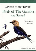 A Field Guide to Birds of the Gambia and Senegal