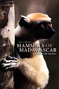 Mammals Of Madagascar
