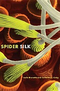 Spider Silk Evolution & 400 Million Years of Spinning Waiting Snagging & Mating