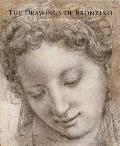 The Drawings of Bronzino