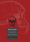 First in Line: Tracing Our Ape Ancestry