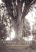 Republic of Shade New England & the American Elm