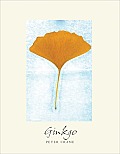 Ginkgo The Tree That Time Forgot