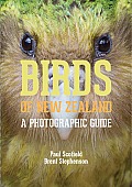 Birds of New Zealand A Photographic Guide