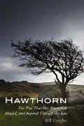 Hawthorn: The Tree That Has Nourished, Healed, and Inspired Through the Ages