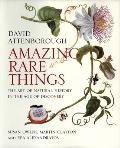 Amazing Rare Things The Art of Natural History in the Age of Discovery