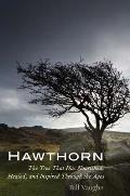 Hawthorn The Tree That Has Nourished Healed & Inspired Through the Ages