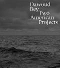 Dawoud Bey Two American Projects