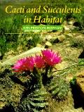 Cacti & Succulents In Habitat