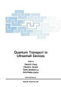 Quantum Transport In Ultrasmall Devices