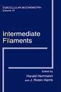 Intermediate Filaments