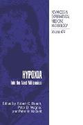 Hypoxia: Into the Next Millennium