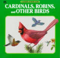 Cardinals Robins & Other Birds Golden Jr