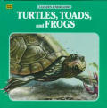 Turtles Toads & Frogs