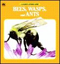 Bees Wasps & Ants A Golden Junior Guide