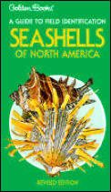 Seashells Of North America Golden Guide To Field Identification
