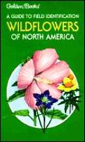 Wildflowers Of North America A Guide To Field
