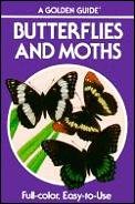 Butterflies & Moths A Guide To The More Common