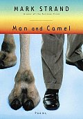 Man & Camel