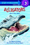Alligators Life In The Wild Road To Read