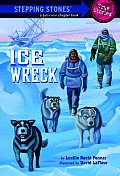 Ice Wreck Stepping Stones True Stories