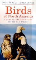 Guide To Field Identification Birds Of North America