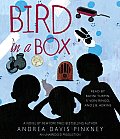 Bird in a Box