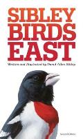 Sibley Birds East Field Guide to Birds of Eastern North America 2nd Edition