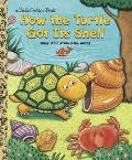 How The Turtle Got Its Shell Tales Fro