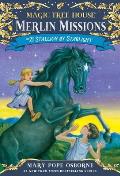 Merlin Missions 21 Stallion by Starlight Magic Tree House