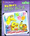 Big Birds baby book