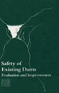 Safety of Existing Dams: Evaluation and Improvement