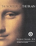 Secret Life Of The Brain