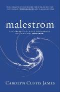 Malestrom Manhood Swept Into The Currents Of A Changing World