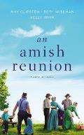 Amish Reunion Three Stories
