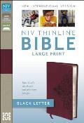 Bible NIV Thinline Bible Large Print