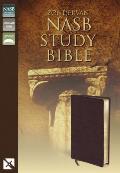 Bible Nasb Burgundy Zondervan Study