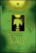 Bible NIV Reflecting God Study Bible