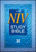Bible Niv Study Compact Red Letter