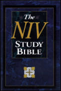 Bible Niv Burgundy Study Thumb Large Pri
