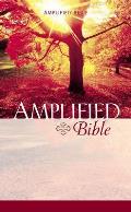 Bible Amplified Bible