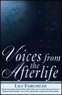 Voices From The Afterlife A Guide To Healing