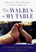 Walrus On My Table A Tale Of Animal Healing