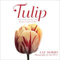 Tulip 70 Stunning Varieties Of The World