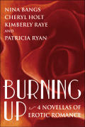 Burning Up Four Novellas of Erotic Romance