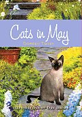 Cats In May