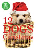 12 Dogs for Christmas The Paw Fect Gift for All Dog Lovers