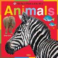 My Giant Fold Out Book of Animals