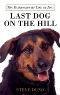 Last Dog On The Hill